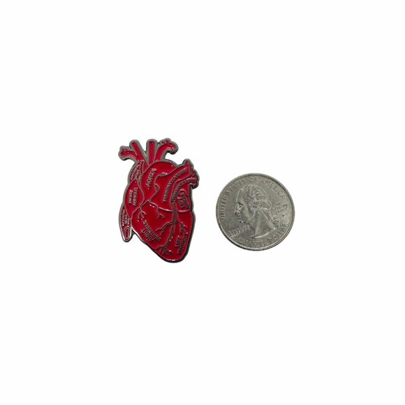 ❤️Anatomical Human Heart Enamel Pin Brooch Red Heart Organ Lapel Anatomy Lovers - Picture 5 of 5